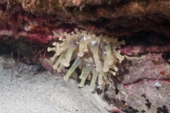 100717JMS_0040-3638web