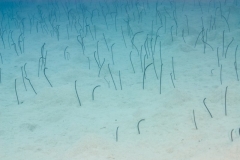 100717JMS_0044-3642web