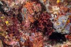 Paisaje marino