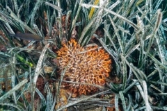 Paisaje marino