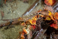 250920EAM03271-214141