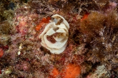 260920EAM03336-214198