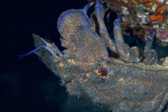 EAM_0083