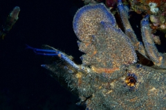 EAM_0087