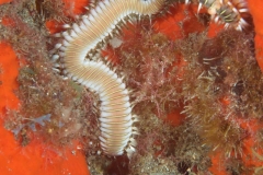 EAM_0114