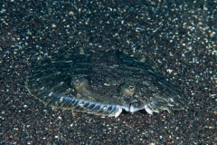 EAM_0115