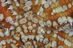EAM_0133