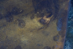 EAM_0281