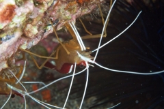 EAM_0290
