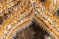 EAM_0295