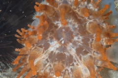 EAM_0304