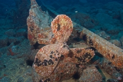 EAM_0614