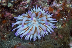EAM_0898