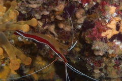EAM_0942