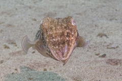 EAM_4001