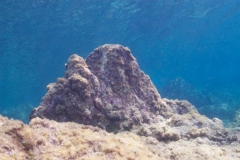 EAM_4011