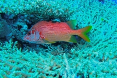 IMG_0757