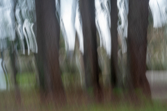 030221EAM06093-217553