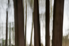 030221EAM06094-217554