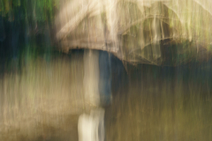 071122DSC09587-363992