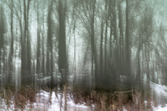 120121EAM05683-217074