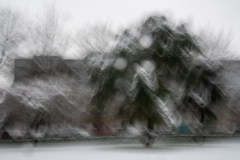 190123DSC01611-368614