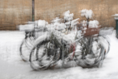 190123DSC01649-368652