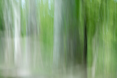 190421EAM07375-220820