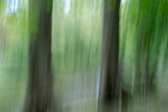 190421EAM07378-220815-Editar