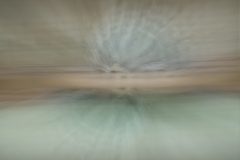 211122DSC00085-367208-Editar