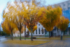 211122DSC09751-366886