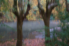 211122DSC09795-366930