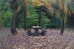 211122DSC09825-366958