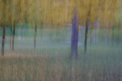 211122DSC09832-366965