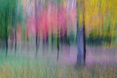 211122DSC09835-366968