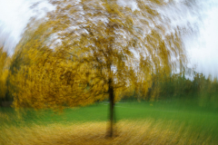 211122DSC09844-366977