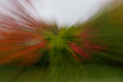 211122DSC09892-367025