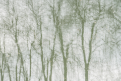 231220EAM05145-216386