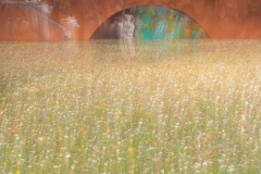 231220EAM05175-216416-Editar