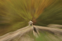 241122DSC00283-367461-Editar