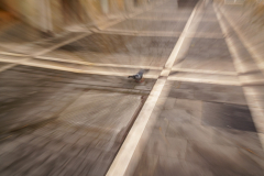 241122DSC00367-367534