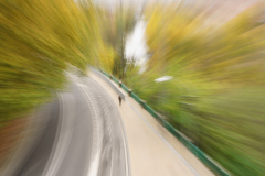 241122DSC00396-367562