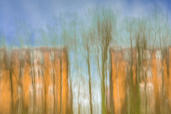 241220EAM05214-216453-Editar