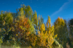 261021EAM01485-350993