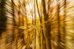 261122DSC00463-367618