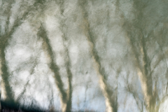 261220EAM05289-216632