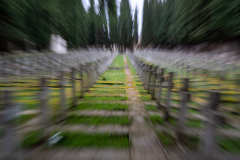 280123DSC01773-368778