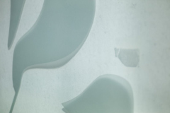 030725L1001850-639767