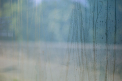 240525L1001742-637301