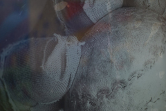 240525L1001755-637314